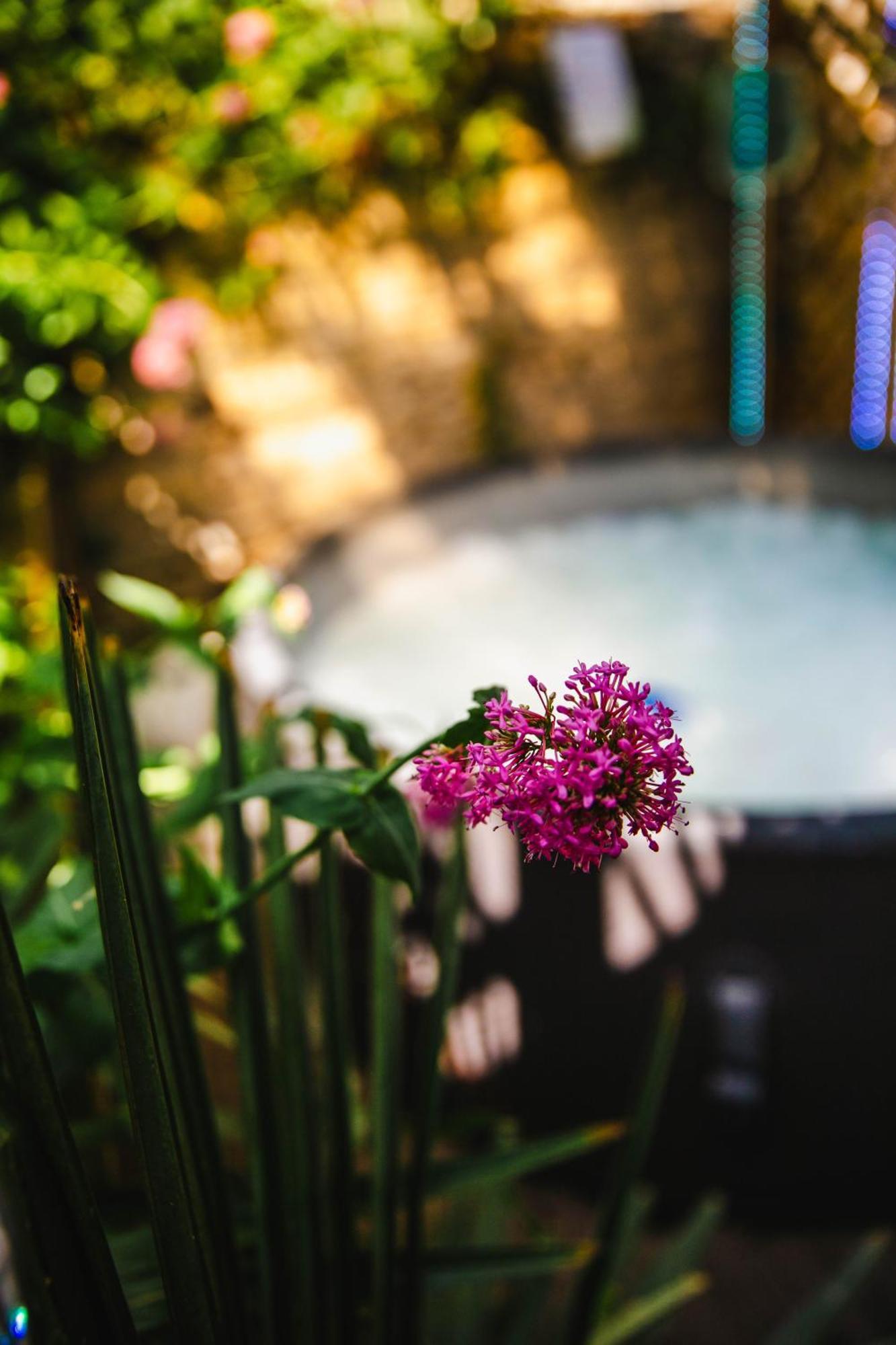 Privé Avec Jacuzzi Au Coeur De * Caen